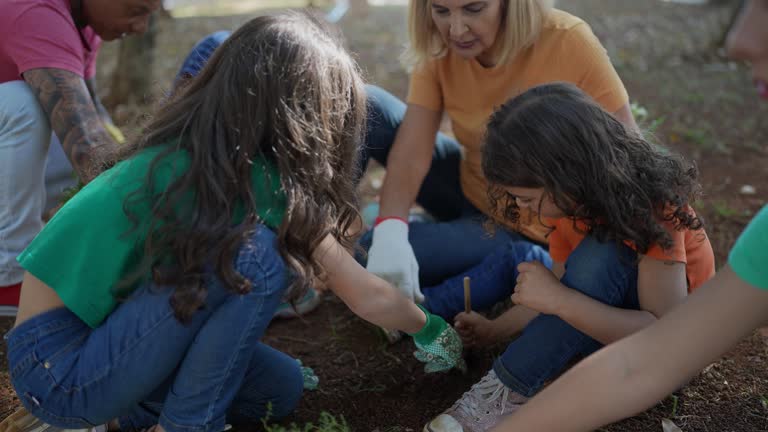 Trusted Nazareth College, NY Tree Care Services Experts