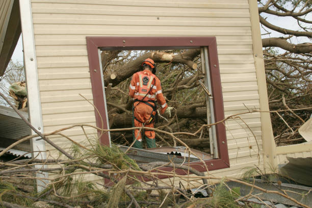 Best Tree Preservation Services  in Nazareth College, NY